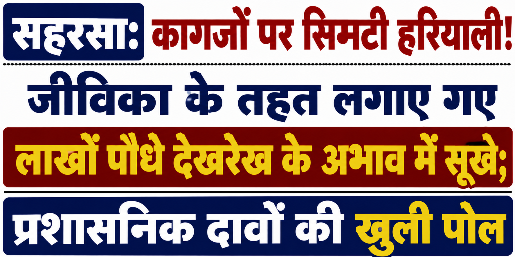 सहरसा: कागजों पर सिमटी हरियाली! जीविका के तहत लगाए गए लाखों पौधे देखरेख के अभाव में सूखे; प्रशासनिक दावों की खुली पोल