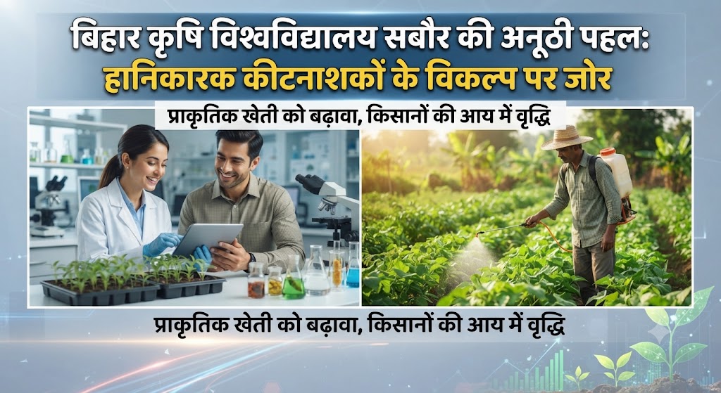 बिहार कृषि विश्वविद्यालय सबौर की अनूठी पहल हानिकारक गाजर घास के खात्मा के लिए युद्धस्तर पर जागरूकता अभियान, 20 से 22 अगस्त तक होगा विशेष मंथन