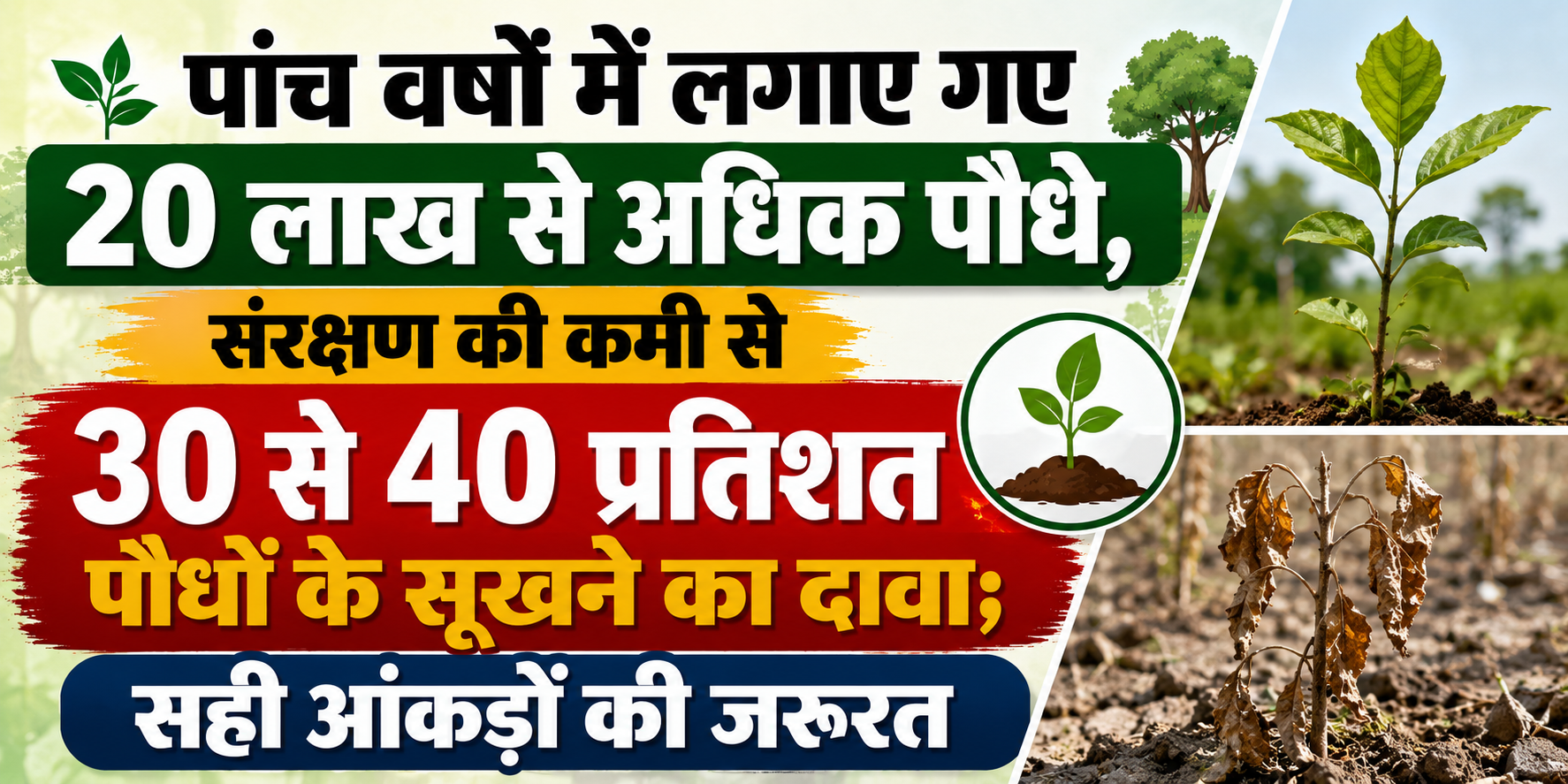 पांच वर्षों में लगाए गए 20 लाख से अधिक पौधे, संरक्षण की कमी से 30 से 40 प्रतिशत पौधों के सूखने का दावा; सही आंकड़ों की जरूरत