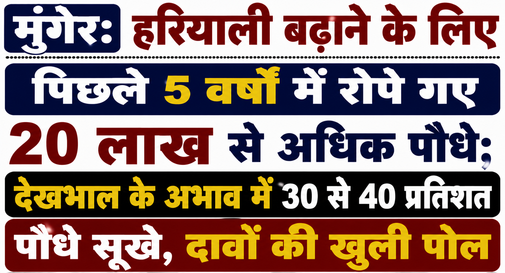 मुंगेर: हरियाली बढ़ाने के लिए पिछले 5 वर्षों में रोपे गए 20 लाख से अधिक पौधे; देखभाल के अभाव में 30 से 40 प्रतिशत पौधे सूखे, दावों की खुली पोल