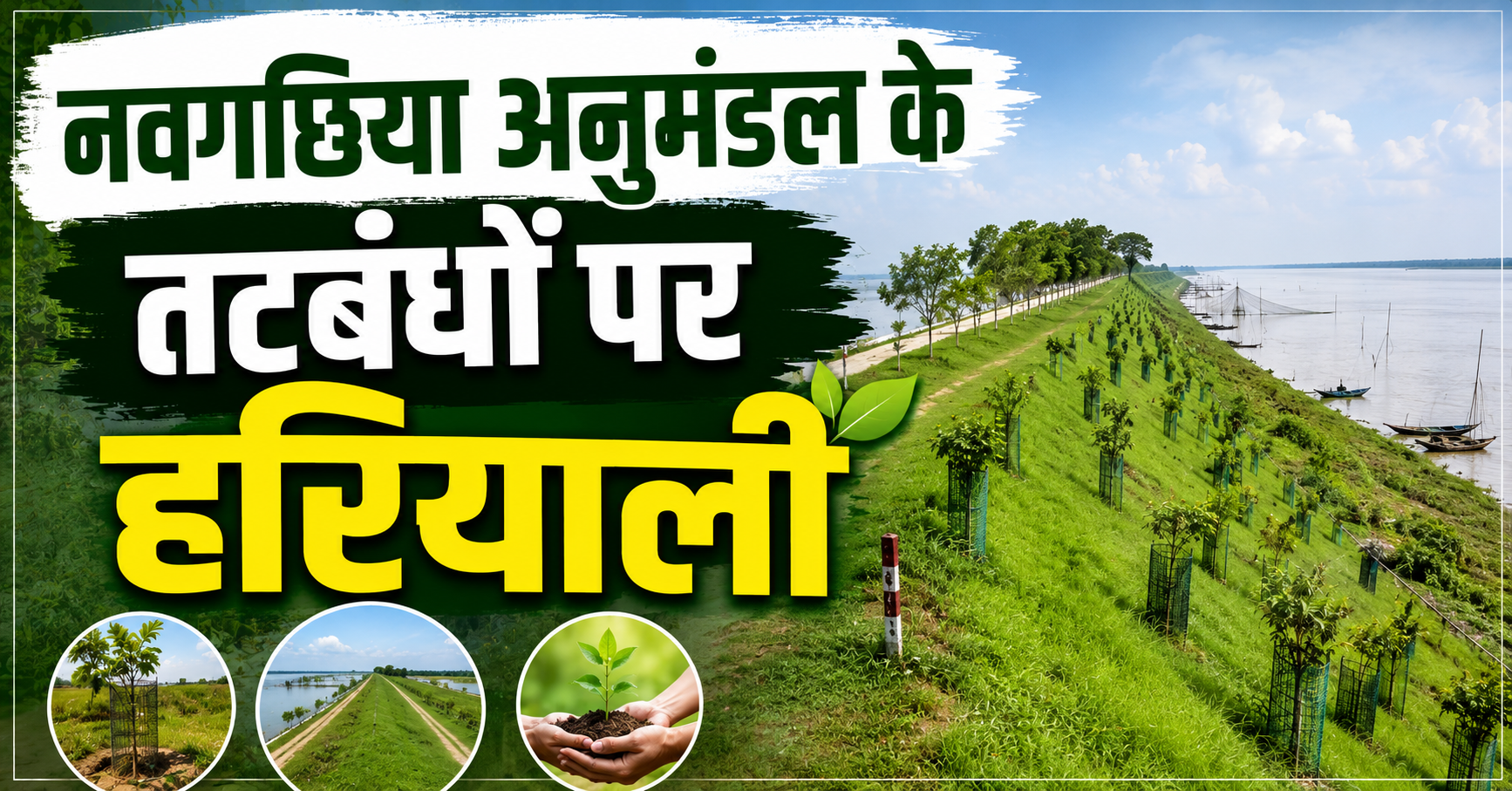 नवगछिया अनुमंडल के तटबंधों पर हरियाली का दावा कागजी या धरातल पर? बाढ़, कटाव और लापरवाही की भेंट चढ़े करोड़ों के पौधे