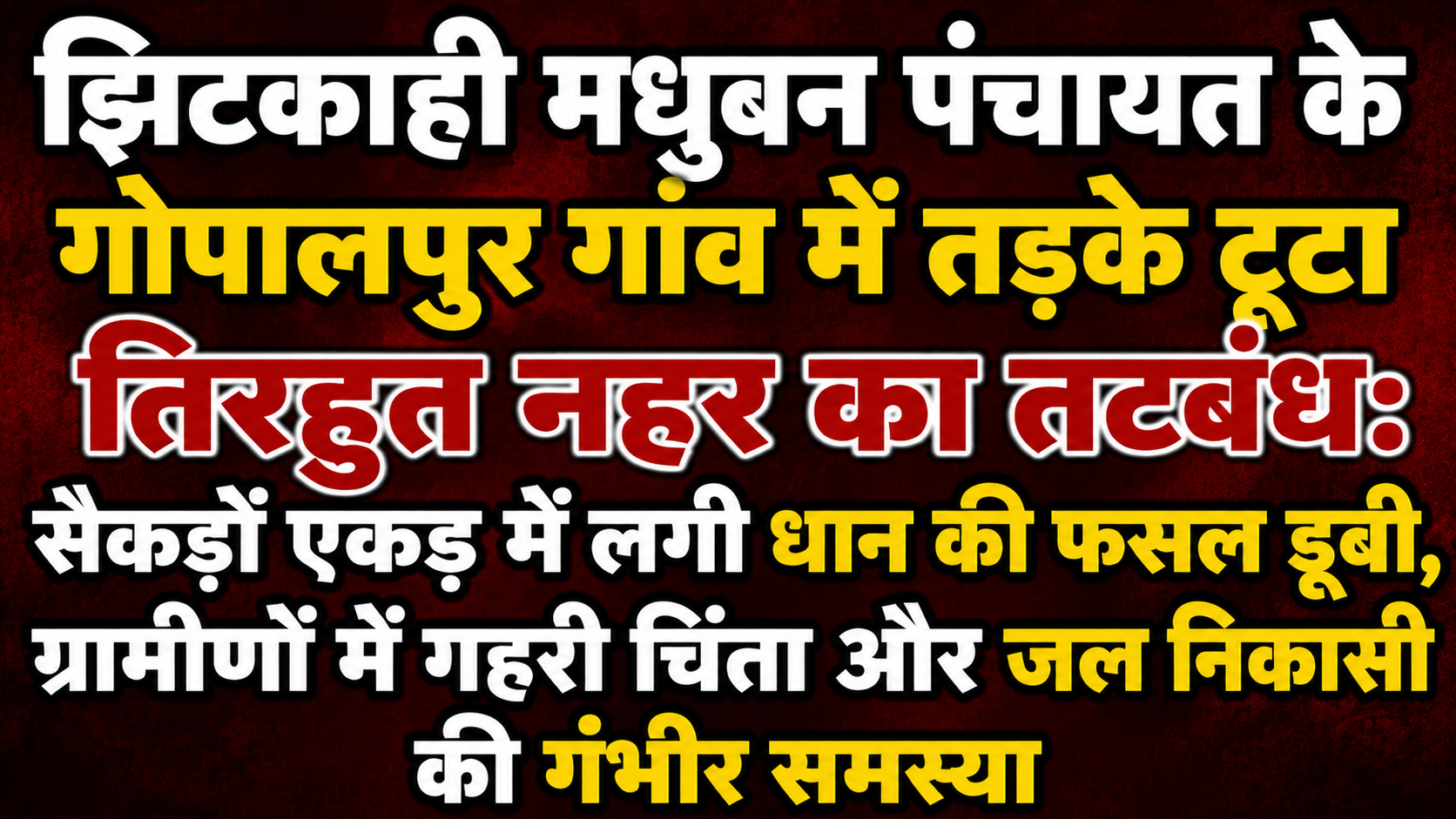 झिटकाही मधुबन पंचायत के गोपालपुर गांव में तड़के टूटा तिरहुत नहर का तटबंध: सैकड़ों एकड़ में लगी धान की फसल डूबी, ग्रामीणों में गहरी चिंता और जल निकासी की गंभीर समस्या