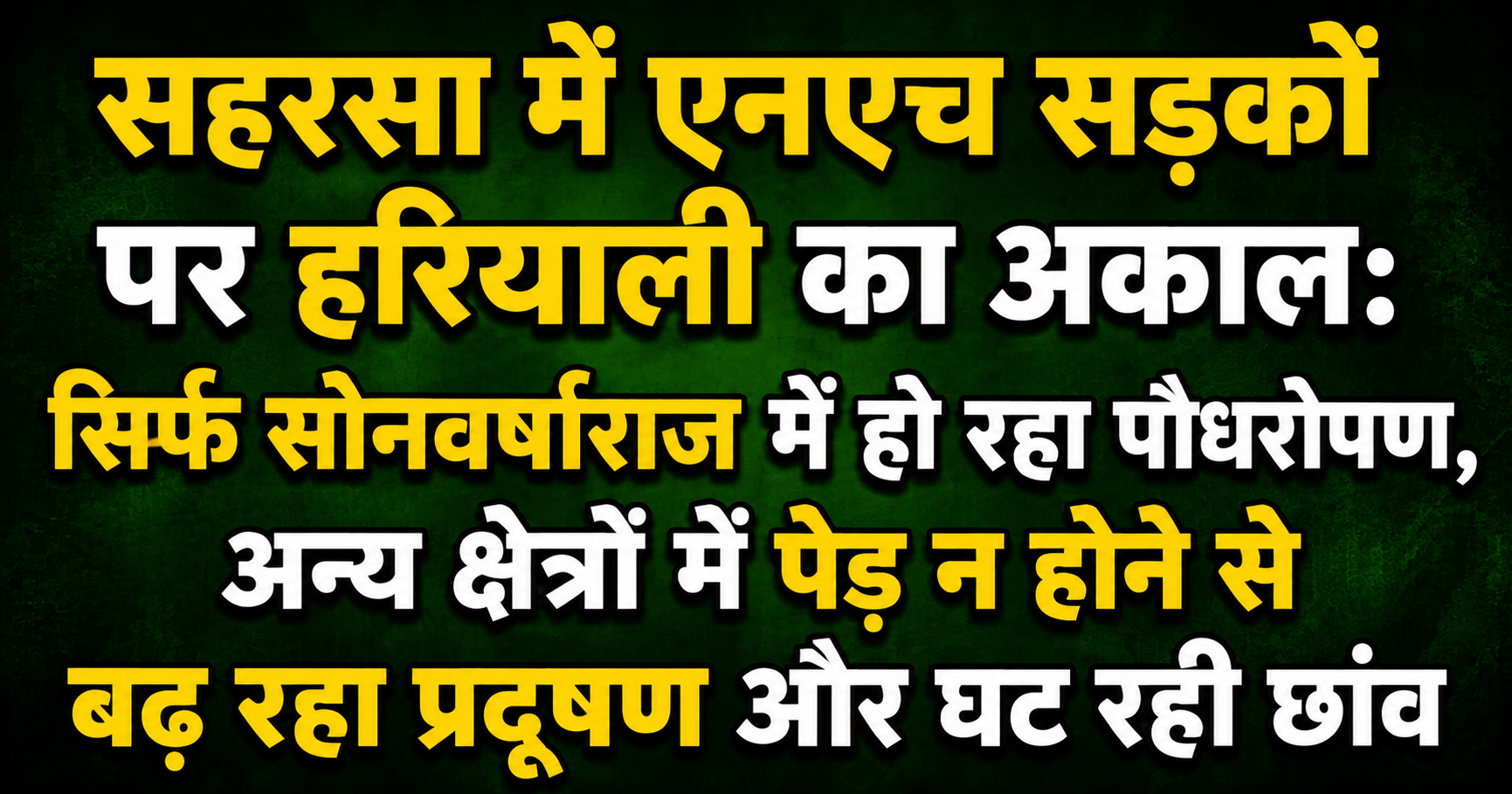 सहरसा में एनएच सड़कों पर हरियाली का अकाल: सिर्फ सोनवर्षाराज में हो रहा पौधरोपण, अन्य क्षेत्रों में पेड़ न होने से बढ़ रहा प्रदूषण और घट रही छांव