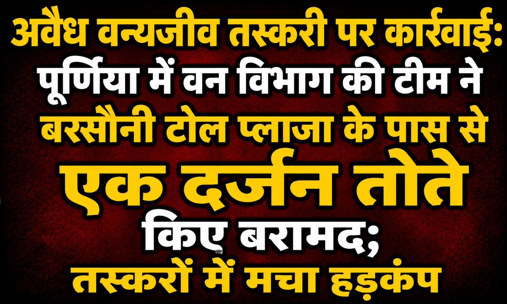 अवैध वन्यजीव तस्करी पर कार्रवाई: पूर्णिया में वन विभाग की टीम ने बरसौनी टोल प्लाजा के पास से एक दर्जन तोते किए बरामद; तस्करों में मचा हड़कंप