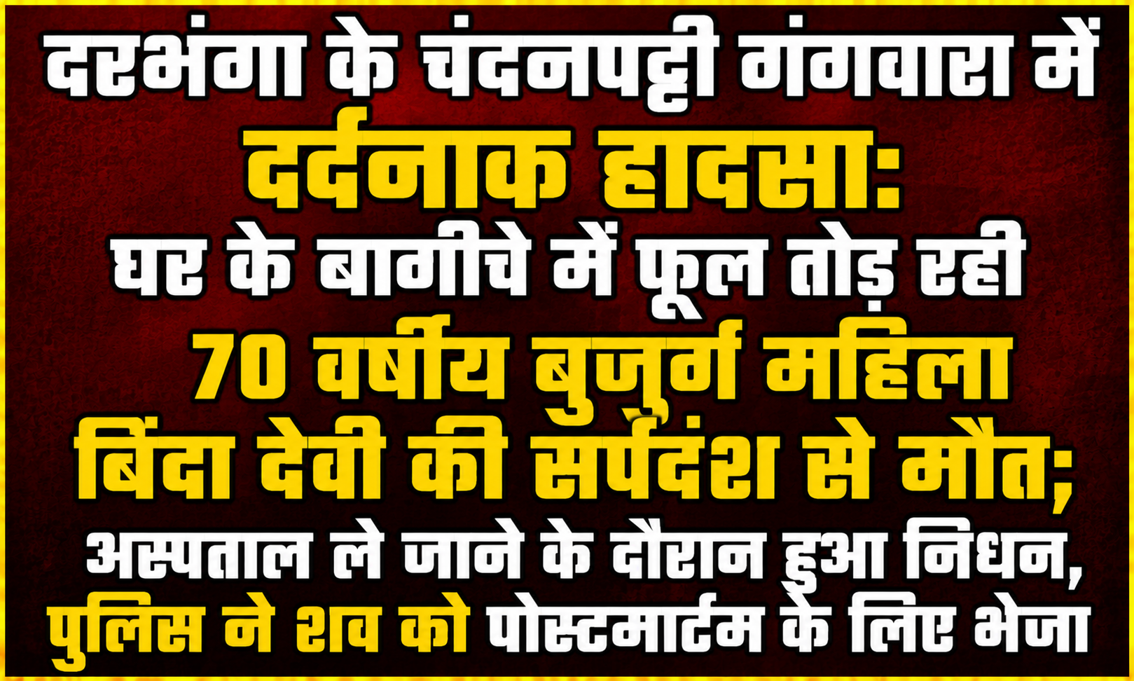 दरभंगा के चंदनपट्टी गंगवारा में दर्दनाक हादसा: घर के बागीचे में फूल तोड़ रही 70 वर्षीय बुजुर्ग महिला बिंदा देवी की सर्पदंश से मौत; अस्पताल ले जाने के दौरान हुआ निधन, पुलिस ने शव को पोस्टमार्टम के लिए भेजा