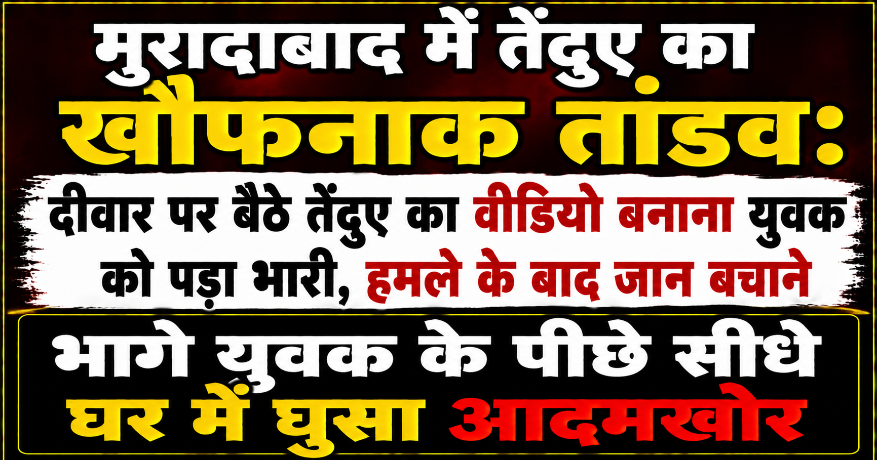 मुरादाबाद में तेंदुए का खौफनाक तांडव: दीवार पर बैठे तेंदुए का वीडियो बनाना युवक को पड़ा भारी, हमले के बाद जान बचाने भागे युवक के पीछे सीधे घर में घुसा आदमखोर